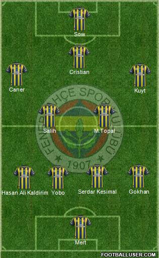 Fenerbahçe SK Formation 2013