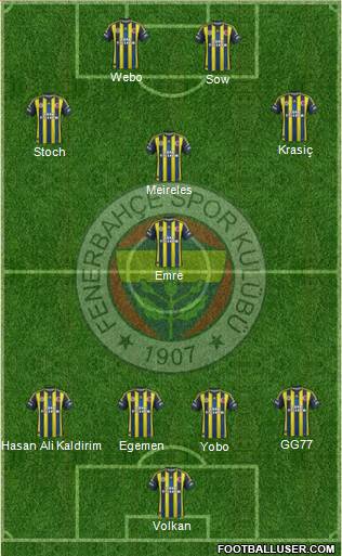 Fenerbahçe SK Formation 2013