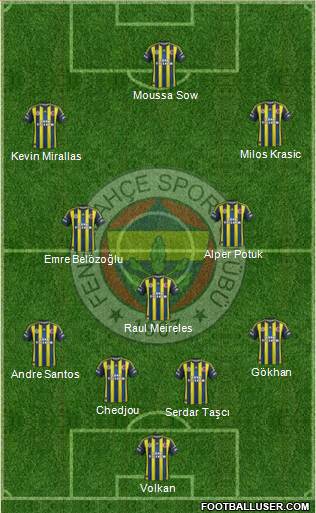Fenerbahçe SK Formation 2013
