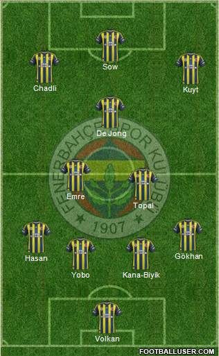 Fenerbahçe SK Formation 2013