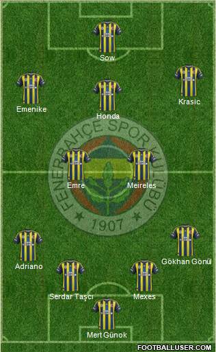 Fenerbahçe SK Formation 2013