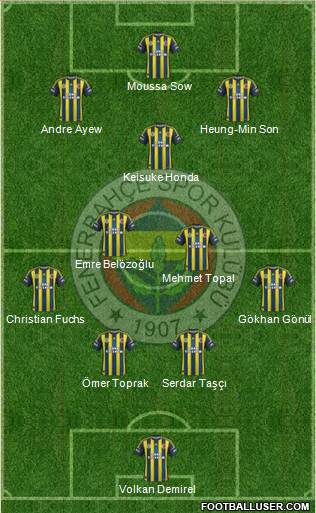 Fenerbahçe SK Formation 2013