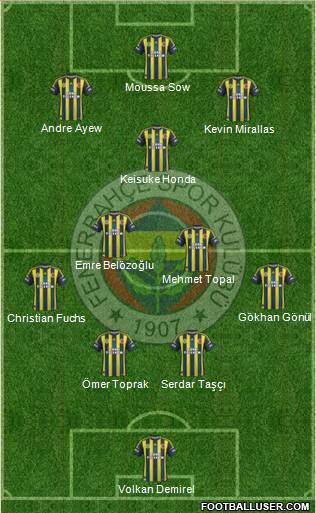 Fenerbahçe SK Formation 2013