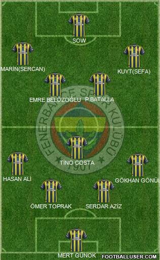Fenerbahçe SK Formation 2013