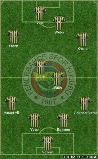 Fenerbahçe SK Formation 2013