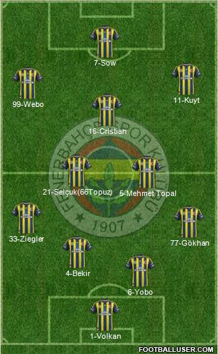 Fenerbahçe SK Formation 2013