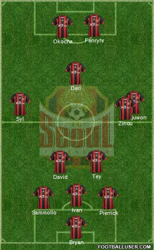 FC Seoul Formation 2013
