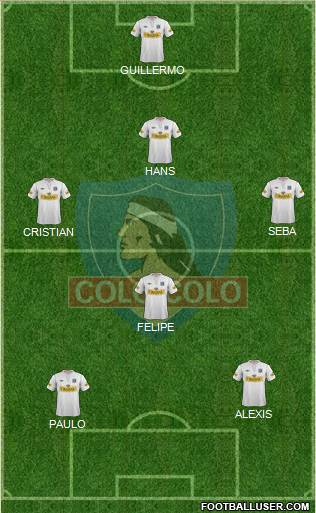 CSD Colo Colo Formation 2013