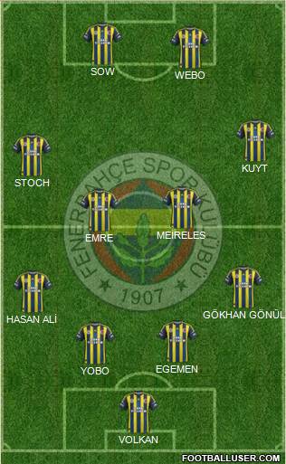 Fenerbahçe SK Formation 2013