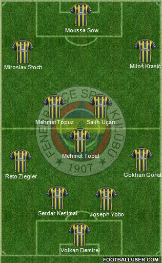 Fenerbahçe SK Formation 2013