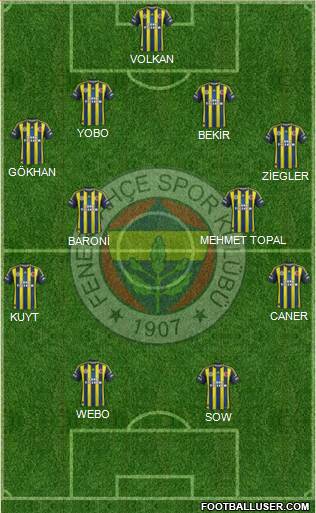 Fenerbahçe SK Formation 2013