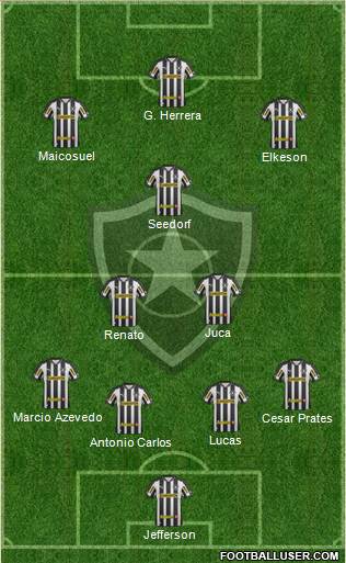 Botafogo FR Formation 2013