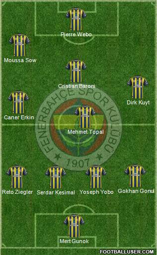 Fenerbahçe SK Formation 2013
