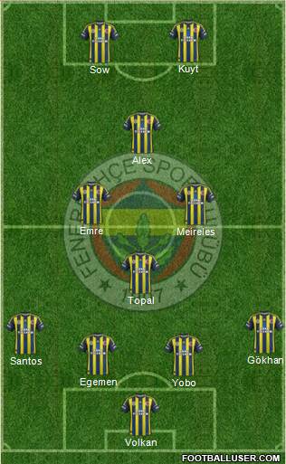 Fenerbahçe SK Formation 2013