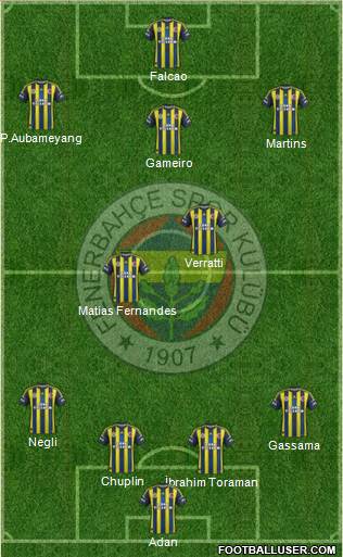 Fenerbahçe SK Formation 2013