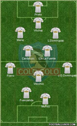 CSD Colo Colo Formation 2013