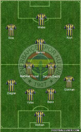 Fenerbahçe SK Formation 2013