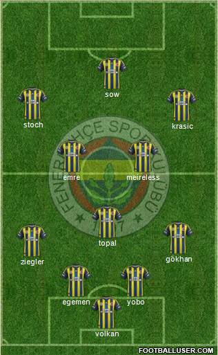 Fenerbahçe SK Formation 2013