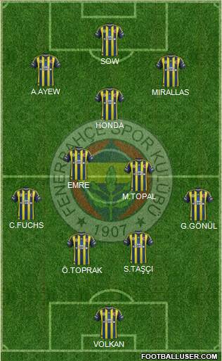 Fenerbahçe SK Formation 2013