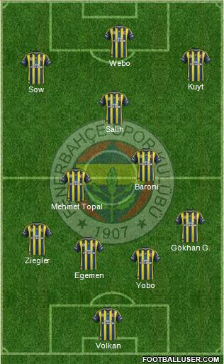 Fenerbahçe SK Formation 2013