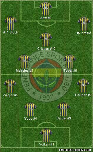 Fenerbahçe SK Formation 2013