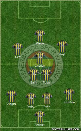 Fenerbahçe SK Formation 2013