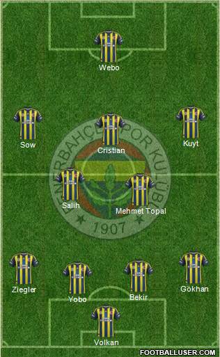 Fenerbahçe SK Formation 2013