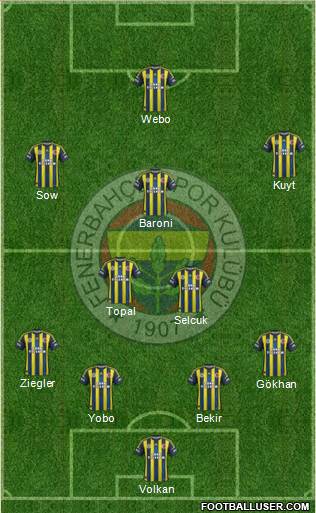 Fenerbahçe SK Formation 2013
