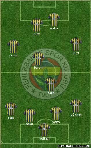 Fenerbahçe SK Formation 2013