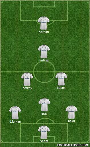 Tottenham Hotspur Formation 2013