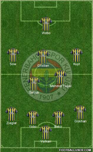 Fenerbahçe SK Formation 2013