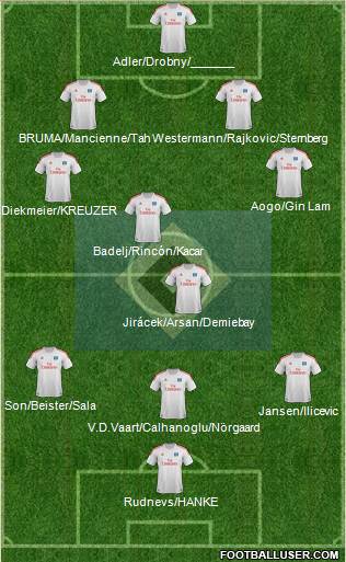 Hamburger SV Formation 2013