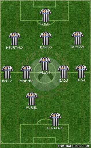 Udinese Formation 2013