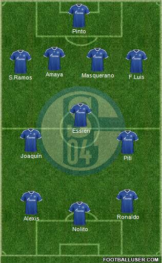 FC Schalke 04 Formation 2013