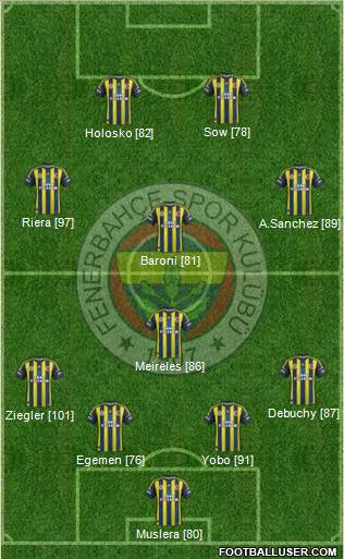 Fenerbahçe SK Formation 2013