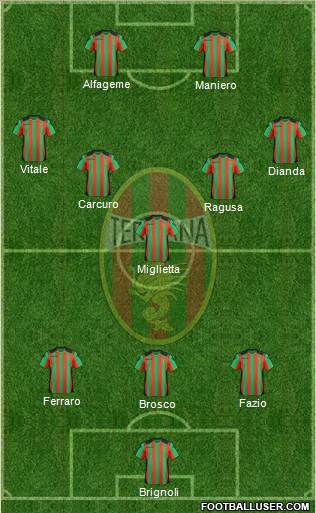 Ternana Formation 2013