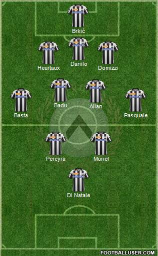 Udinese Formation 2013
