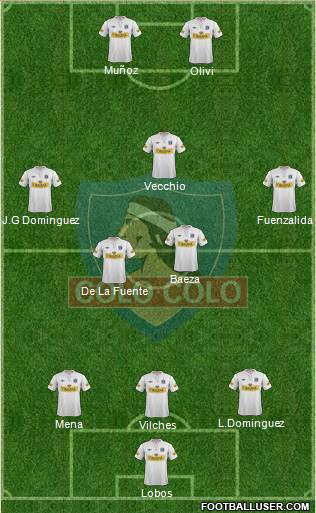 CSD Colo Colo Formation 2013
