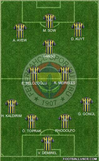 Fenerbahçe SK Formation 2013