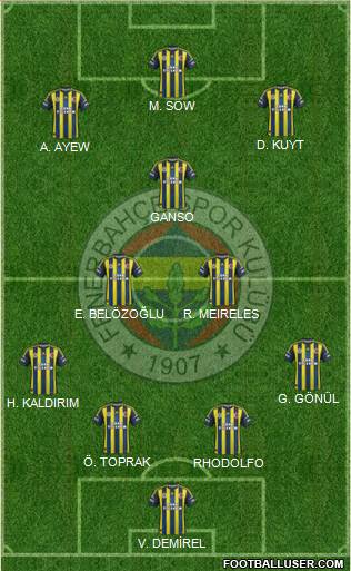 Fenerbahçe SK Formation 2013