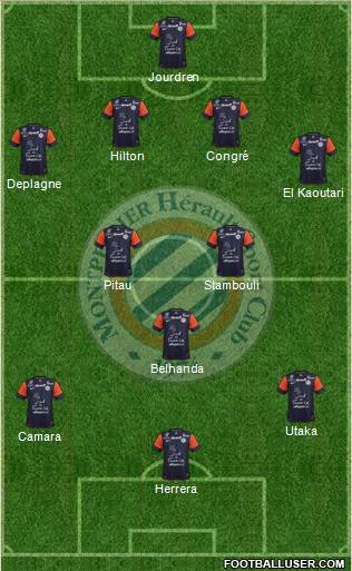 Montpellier Hérault Sport Club Formation 2013