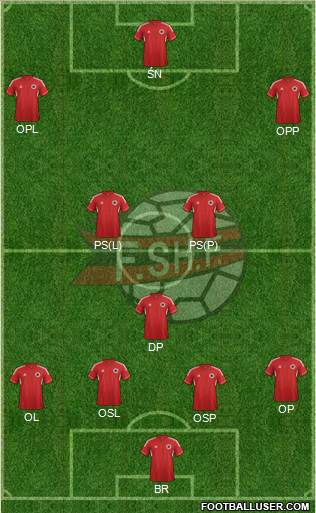 Albania Formation 2013