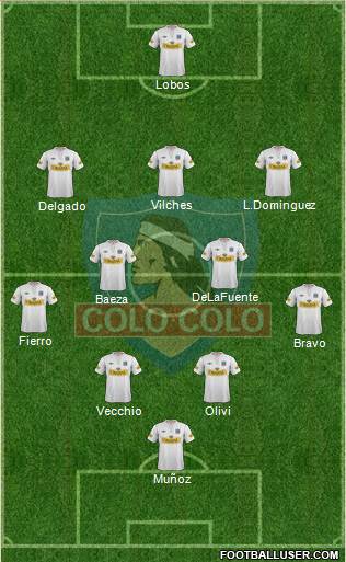 CSD Colo Colo Formation 2013