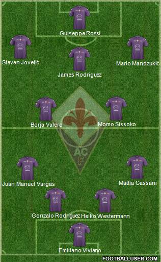 Fiorentina Formation 2013