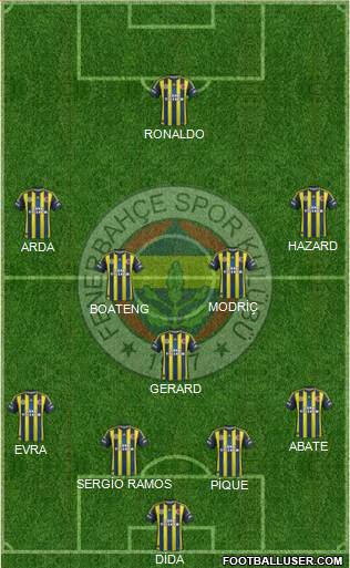 Fenerbahçe SK Formation 2013
