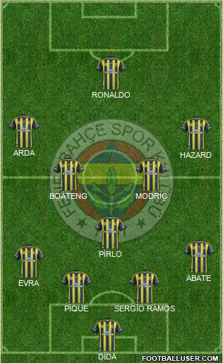Fenerbahçe SK Formation 2013
