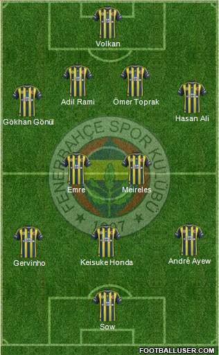 Fenerbahçe SK Formation 2013