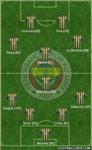 Fenerbahçe SK Formation 2013
