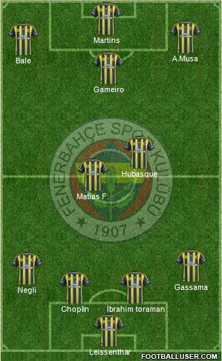 Fenerbahçe SK Formation 2013