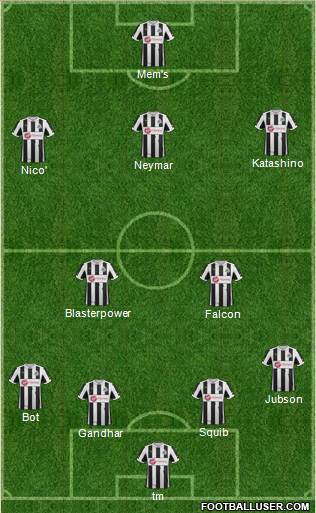 Newcastle United Formation 2013